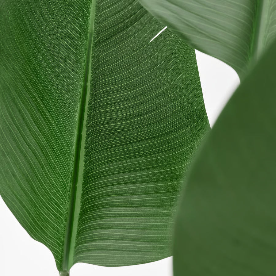Artificial banana plant styled in a room corner
