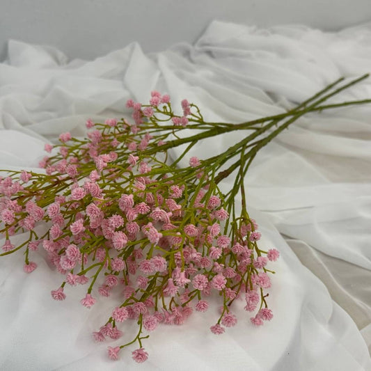 Light pink gypsophila stem for vases and floral arrangements