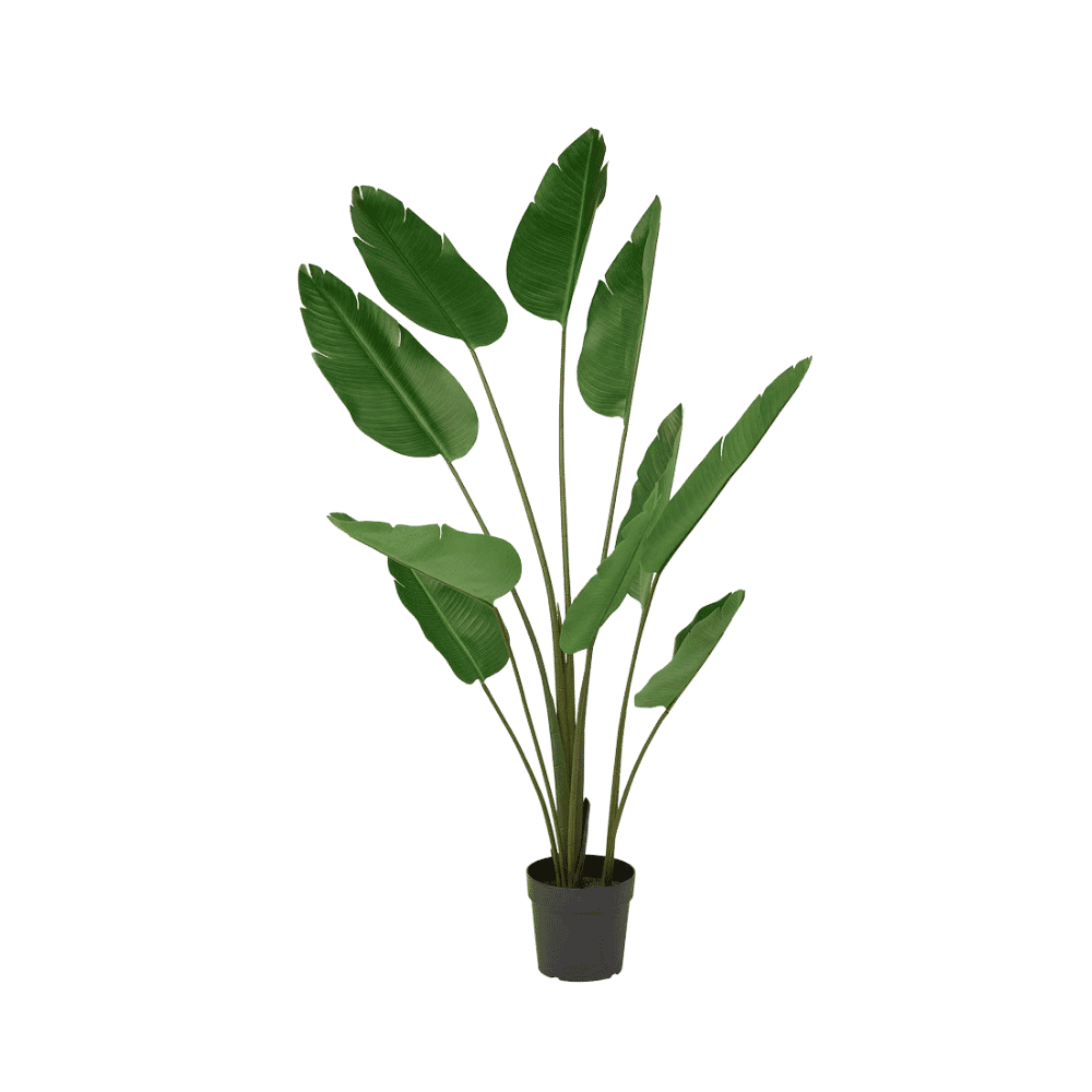 Artificial banana plant for living room corners