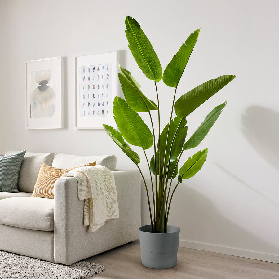 Artificial banana plant, close-up leaf detail