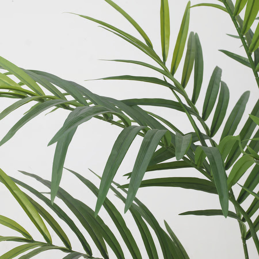 Artificial Kentia palm, full height view