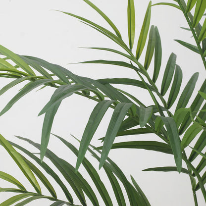 Artificial Kentia palm, full height view