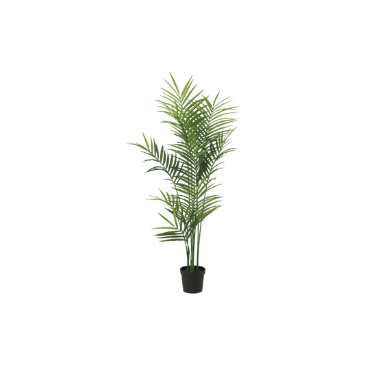 Artificial Kentia palm for room corners