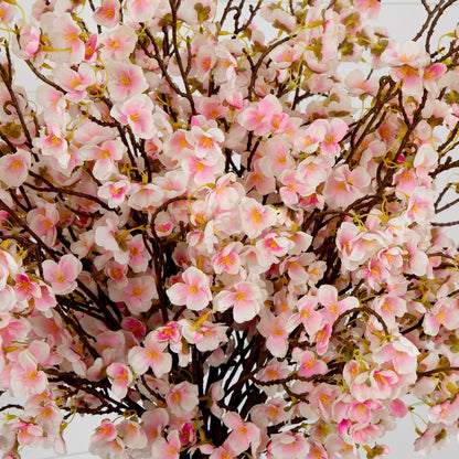 Cherry blossom spray branch, close-up detail