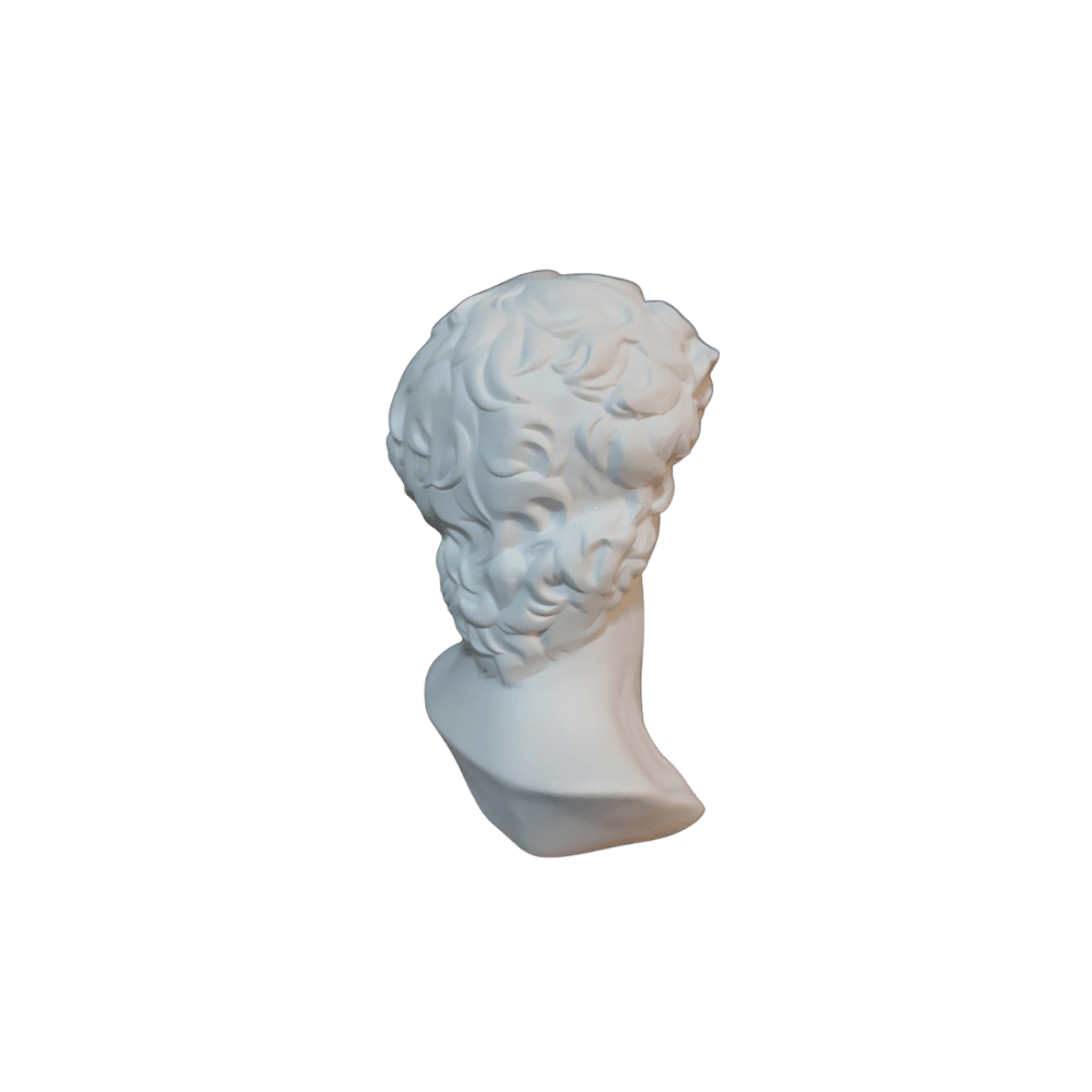 Michelangelo David sculpture, side view