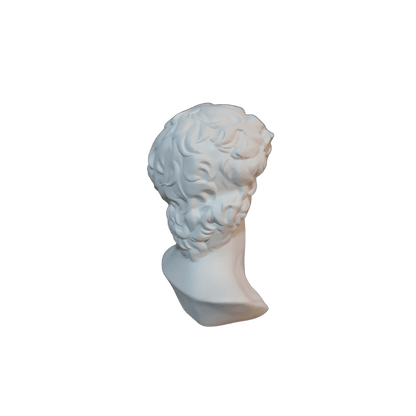 Michelangelo David sculpture, side view